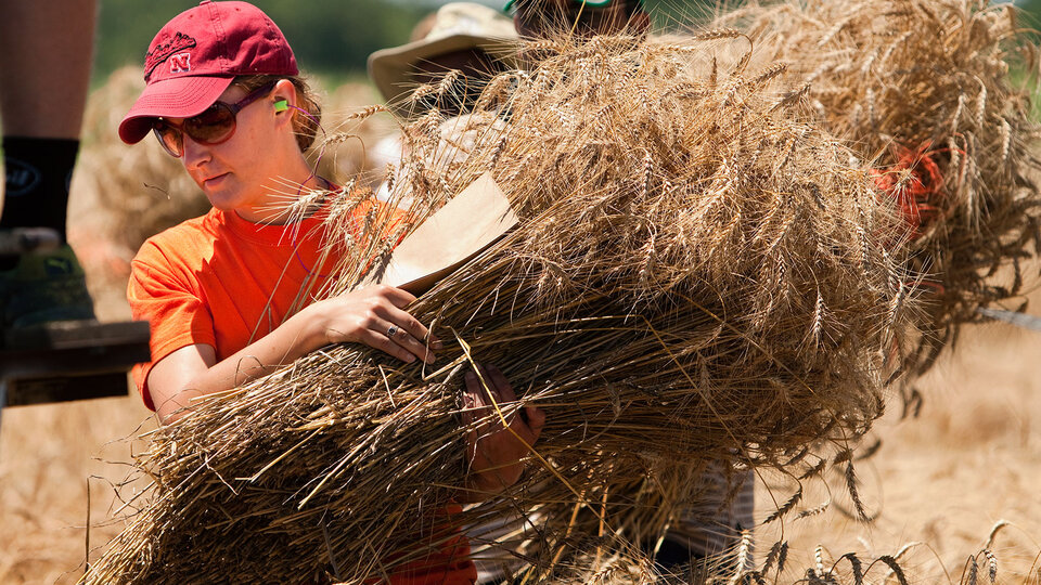 Student carrying wheat